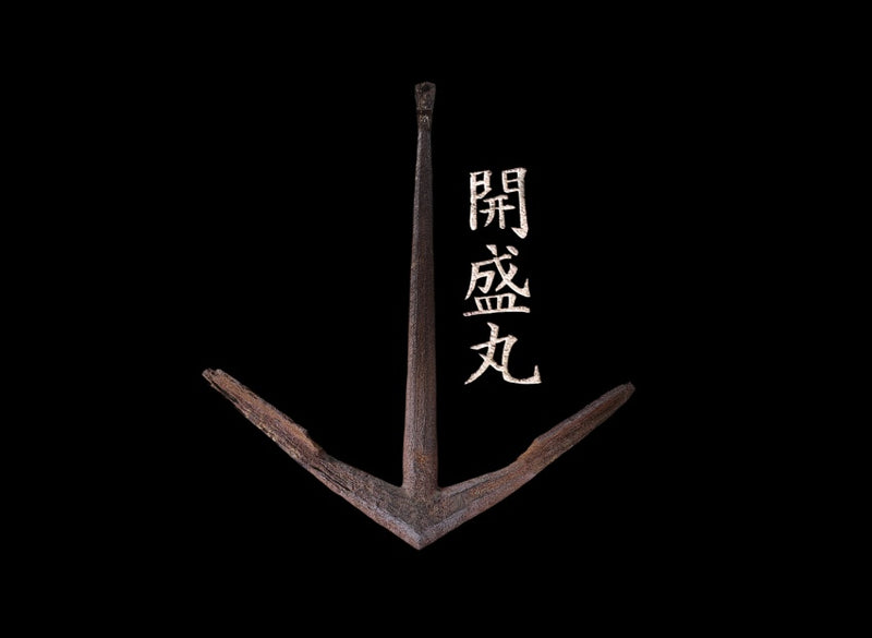 Kaisei Maru Anchor Leggings