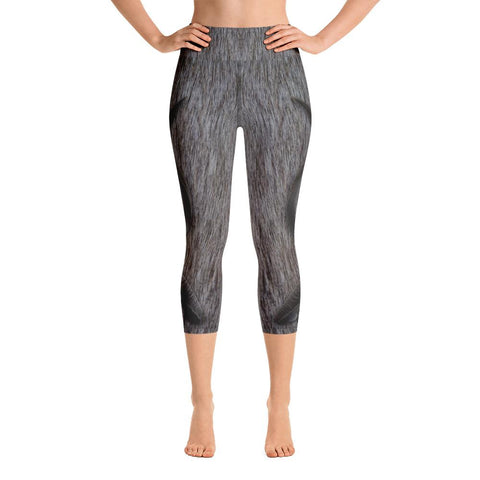 African-crested Porcupine Leggings